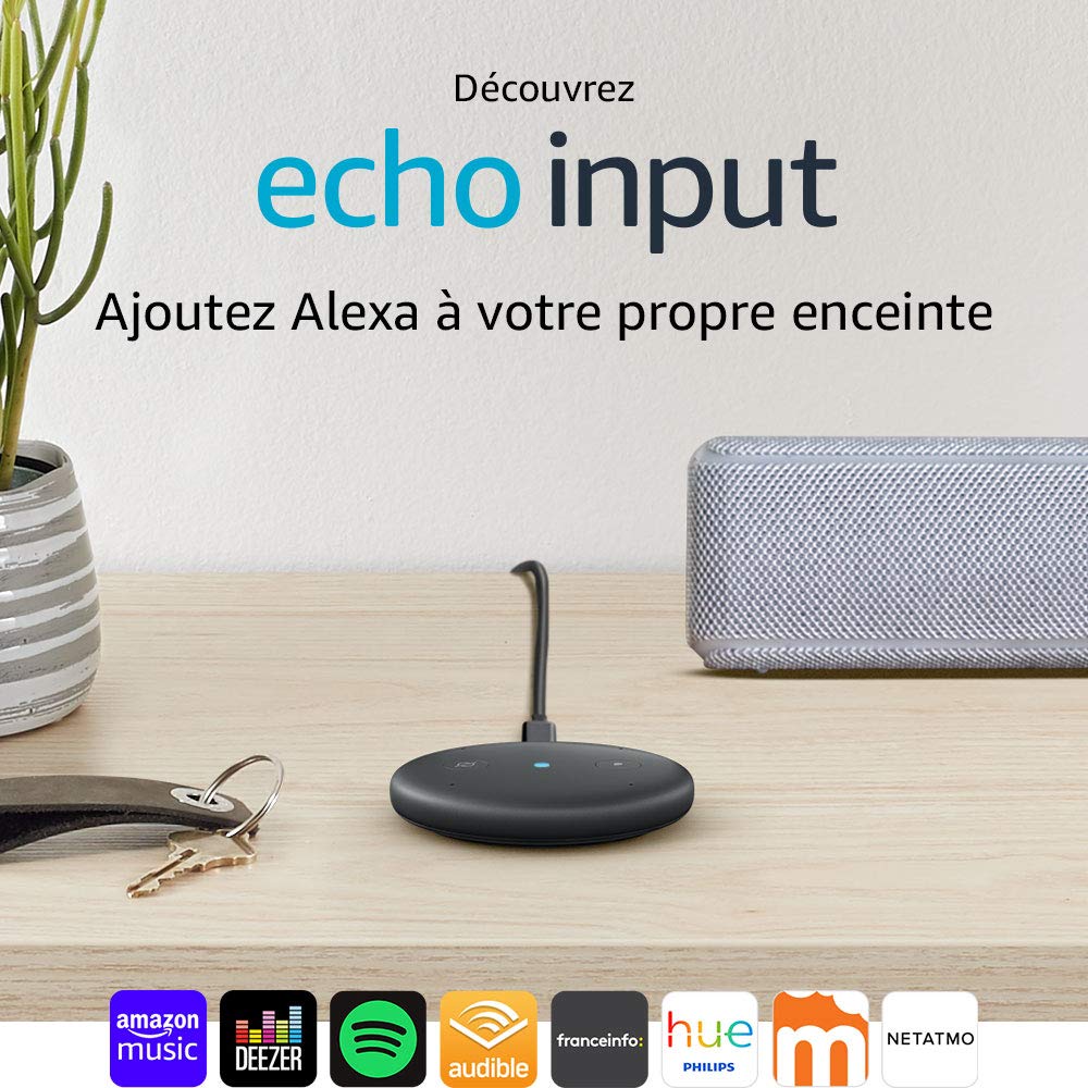 Echo Input Alexa